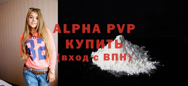 индика Снежногорск