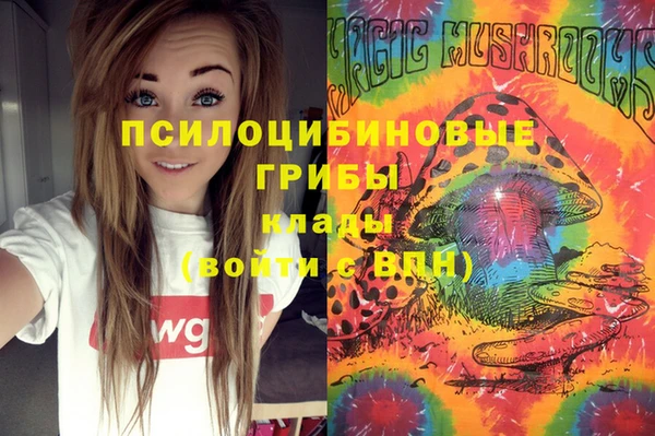 эйфоретик Сосновка