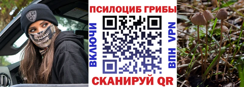 Галлюциногенные грибы мухоморы  Болхов 